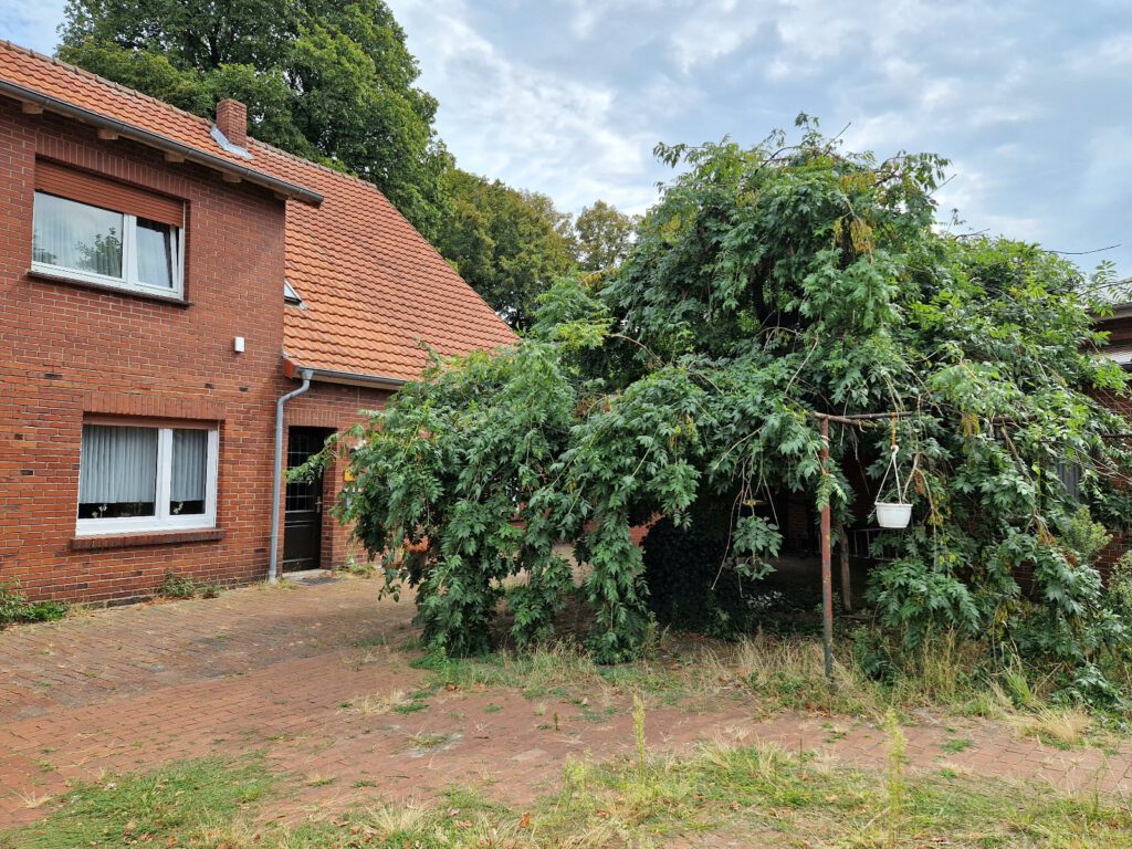 Robert Corvus - Literatur im Lindenwirt - August 2026 - Haus Rückansicht
