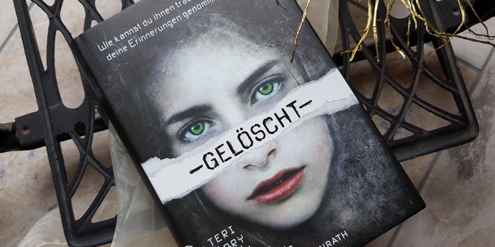 Rezension Geloscht Band 1 Teri Terry Elchi S World Of Books Crafts