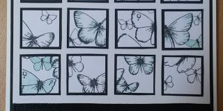 Geburtstagskarte-OpenStudio-Fluttering-Inchies-mitWasserzeichen