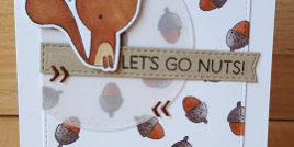 MFT-ForestFriends-Let27sGoNuts-mitWasserzeichen