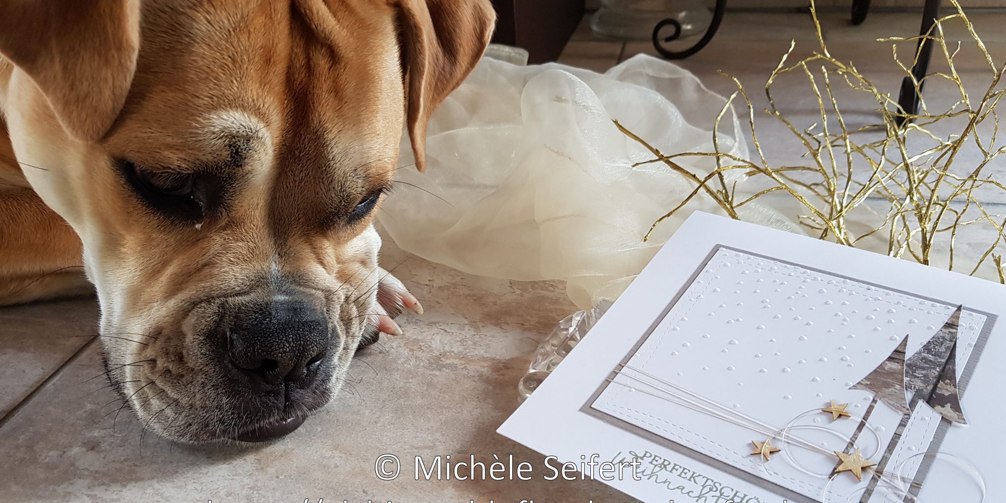 May Weihnachtskarte #1 – Ansicht 1 – Wasserzeichen