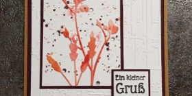 MemoryBox-WildPrairieStem-mitWasserzeichen