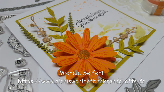 Orangefarbene Blume – Ansicht 2 – mit Wasserzeichen