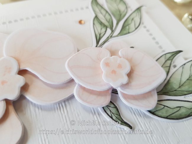 SU-Orchideenzweig-Orchideenblueten-Muttertag-3-1200-Pixel SU - Orchideenzweig - Orchideenblueten - Grund zum Laecheln - Bluetenromantik - Struktureffekt - Muttertagskarte