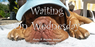 TequilaintheSun-WaitingonWednesday-Copyright-mitWasserzeichen-9