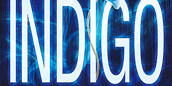rezension-indigo-das-erwachen-jordan-dane-L-yWrH7W